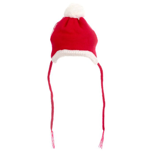 Holiday The Worthy Dog Santa Hat Med